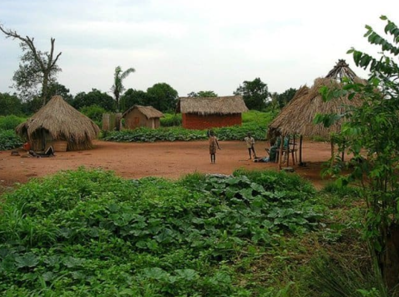 Traditional Village Visits, Various regions, Central African Republic